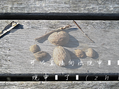 可以直接向法院申請執(zhí)行嗎(在法院申請了執(zhí)行還可以再申請強制執(zhí)行嗎)
