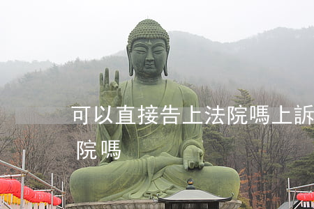 可以直接告上法院嗎(上訴可以直接去高級法院嗎)