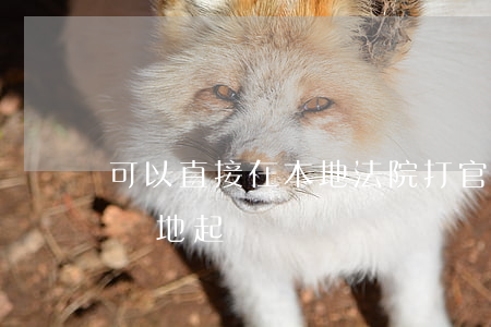 可以直接在本地法院打官司嗎(打官司可以在異地起訴嗎)