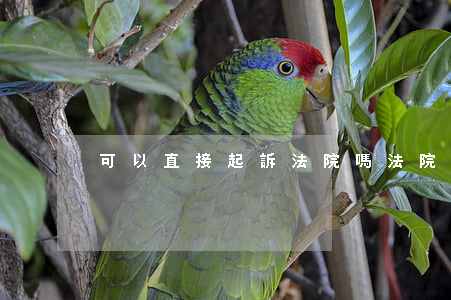 可以直接起訴法院嗎(法院可以起訴法院嗎)