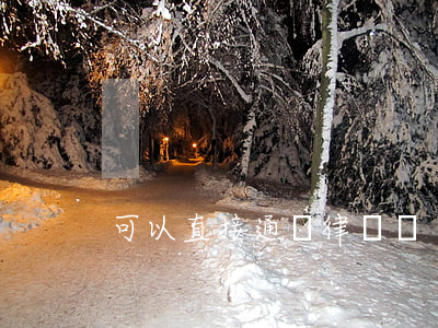 可以直接通過律師嗎
