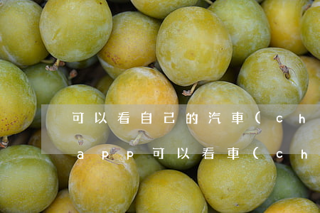 可以看自己的汽車(chē)違法嗎(用什么app可以看車(chē)違規(guī))