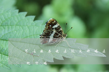 可以租房收法院文件吗(法院执行会到租房的地方吗)