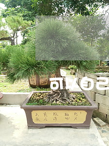 可以自己修图的软件