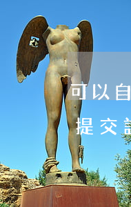 可以自己去法院提交訴狀嗎(可以自己去法院提交訴訟嗎)
