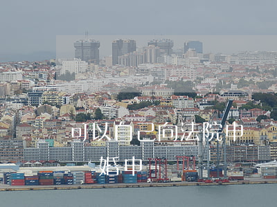 可以自己向法院申請離婚嗎(如何向法院提出離婚申請)