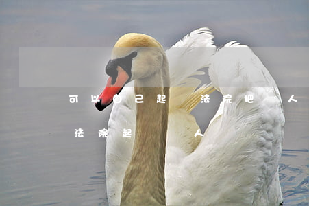可以自己起訴法院把別人定罪嗎(可以自己去法院起訴別人嗎)