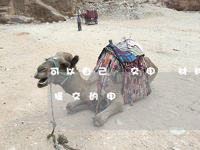 可以自己遞交申訴材料給法院嗎(向人民法院提交的申訴書)