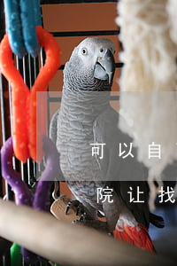 可以自己问检察院律师提没提交取保吗(检察院让找律师肯定要起诉么)