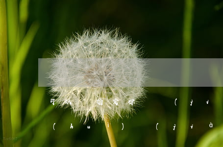 可以與指定律師見(jiàn)面嗎(律師會(huì)見(jiàn)有時(shí)間限制嗎)