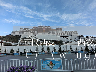 可以西安訴訟嗎(西安人民法院訴訟服務(wù)網(wǎng))