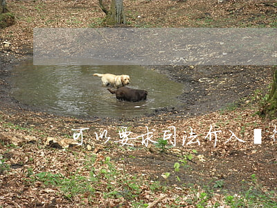 可以要求司法介入嗎(律師提前介入)