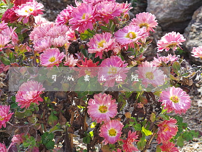 可以要求法院執(zhí)行公司的資產(chǎn)嗎(可以要求法院執(zhí)行公司的資產(chǎn)嗎)