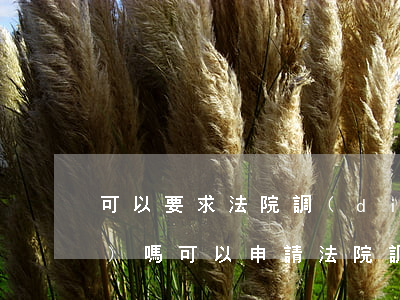 可以要求法院調(diào)取證據(jù)嗎(可以申請法院調(diào)取的證據(jù)范圍)