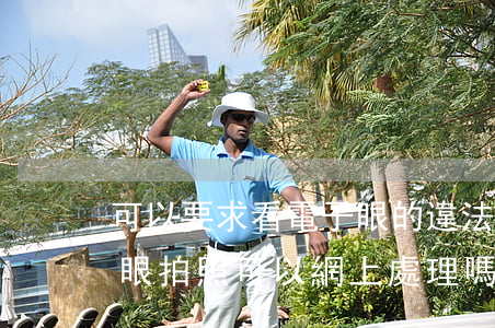 可以要求看電子眼的違法照片嗎(外地被電子眼拍照可以網上處理嗎)