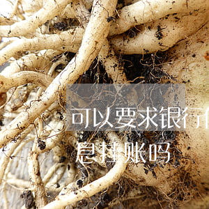 可以要求银行停息挂账吗-可以要求银行停息挂账吗?