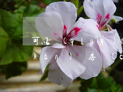 可以請(qǐng)律師辦理繼承遺產(chǎn)嗎(房產(chǎn)繼承必須有律師嗎)