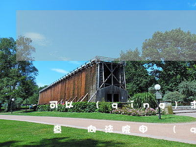 可以請(qǐng)求法院調(diào)查嗎(向法院申請(qǐng)調(diào)查取證)