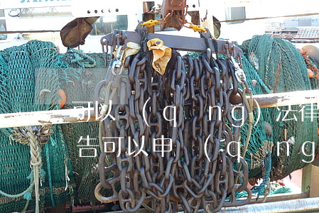 可以請(qǐng)法律援助律師起訴嗎(原告可以申請(qǐng)法律援助嗎)