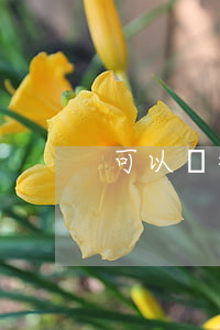 可以請律師代辦離婚證嗎(離婚證可以代辦嗎?)