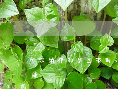 可以請律師拿回來嗎(如果不請律師,自己能不能)
