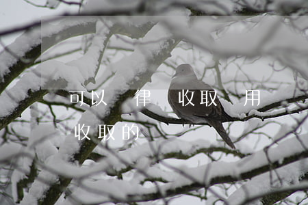 可以請律師收取費用嗎(請律師的費用是怎么收取的)
