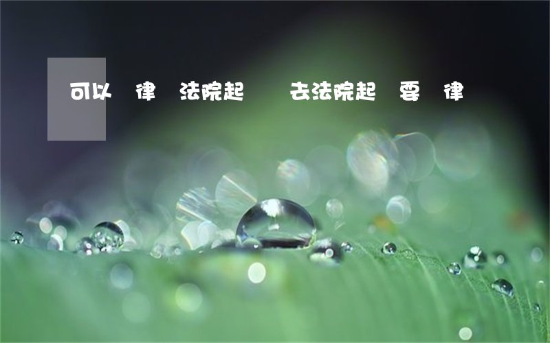 可以請律師法院起訴嗎(去法院起訴要請律師嗎)