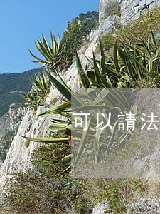 可以請法院起訴嗎(自己可以向法院起訴嗎)