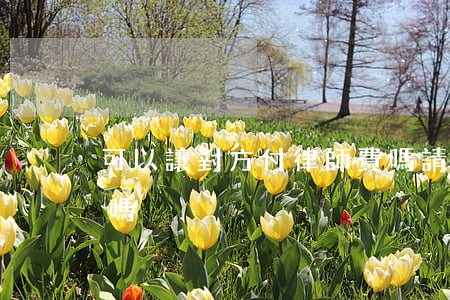 可以讓對方付律師費嗎(請律師要先付律師費嗎)
