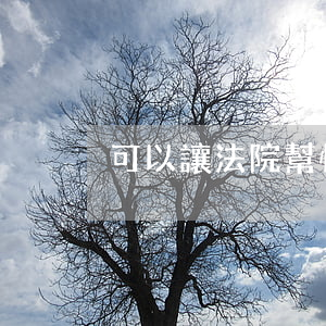 可以讓法院幫忙請律師嗎(請律師不如找法官)