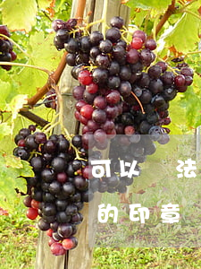 可以讓法院蓋章嗎(判決書必須加蓋人民法院的印章)