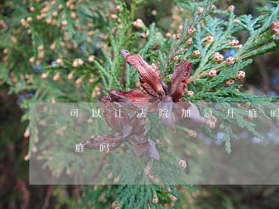 可以让法院加急开庭吗(可以要求法院提前开庭吗)