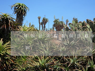 可以让法院提前开庭吗(可以让法院提前开庭吗)