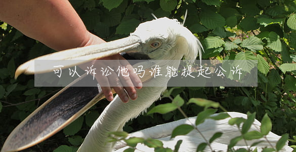 可以诉讼他吗(谁能提起公诉)