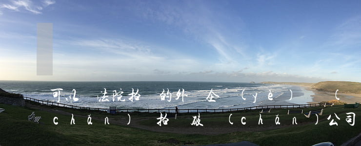 可以買法院拍賣的外資企業(yè)資產(chǎn)嗎(拍賣破產(chǎn)公司 能不能買)