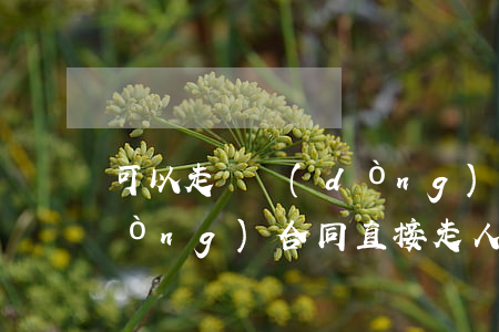 可以走勞動(dòng)合同法嗎(勞動(dòng)合同直接走人)