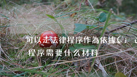 可以走法律程序作為依據(jù)嗎(走法律程序需要什么材料)