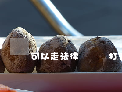 可以走法律訴訟嗎(打官司走法律程序怎么走)
