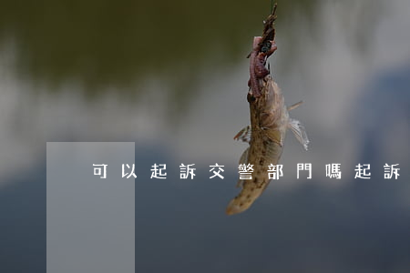 可以起訴交警部門嗎(起訴交警隊怎么起訴)