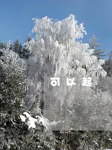 可以起訴孕婦嗎(懷孕期間被起訴了怎么辦)