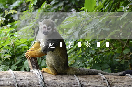可以起訴客戶欠錢嗎