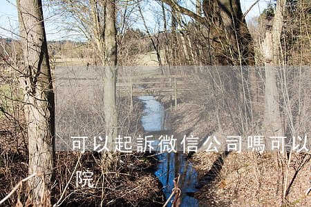 可以起訴微信公司嗎(可以起訴微信公司嗎法院)