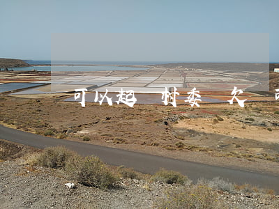 可以起訴村委會欠錢(可以起訴村委會欠錢)