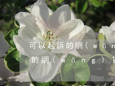 可以起訴的網(wǎng)貸平臺（可以起訴的網(wǎng)貸）