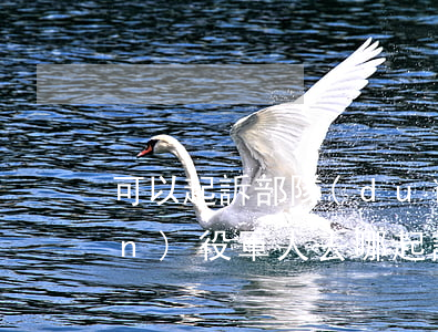 可以起訴部隊(duì)嗎?(起訴現(xiàn)役軍人去哪起訴)