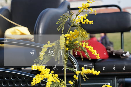 可以起訴鎮(zhèn)長(zhǎng)嗎(可以起訴鎮(zhèn)長(zhǎng)嗎)