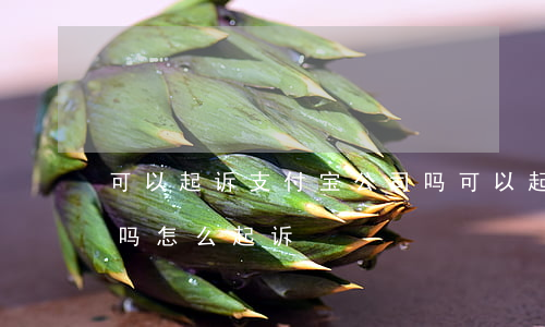 可以起诉支付宝公司吗(可以起诉支付宝公司吗怎么起诉)