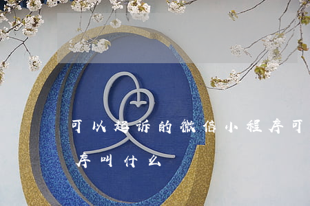 可以起诉的微信小程序(可以起诉的微信小程序叫什么)