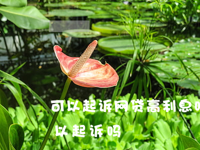 可以起诉网贷高利息吗-网贷平台高利贷可以起诉吗