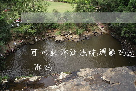 可以起诉让法院调解吗(达成调解后可以再起诉吗)